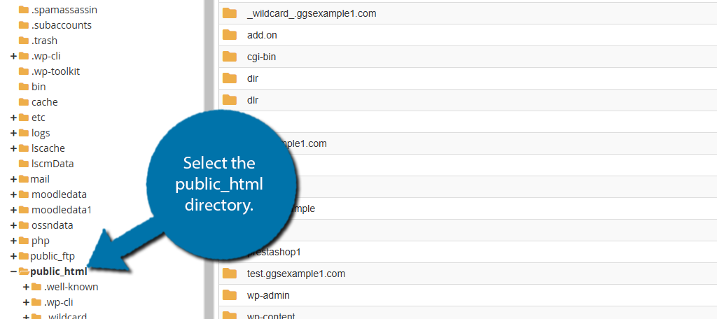 Public_HTML Directory