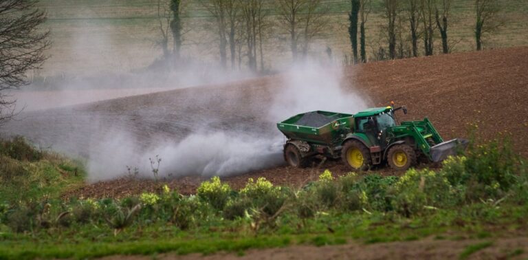 Some technologies use accelerated natural processes to capture carbon – but can they store it durably?