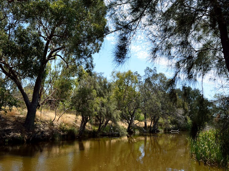 The fight over AI data centres is becoming Australia’s next Indigenous policy challenge