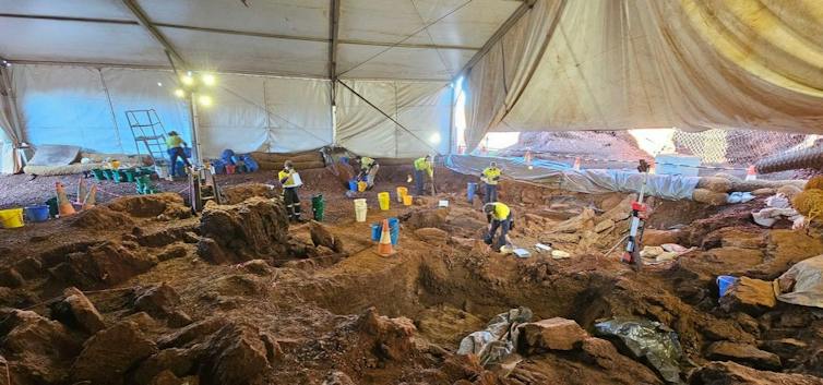 New fossils show Tasmanian devils lived with people in outback Western Australia 45,000 years ago